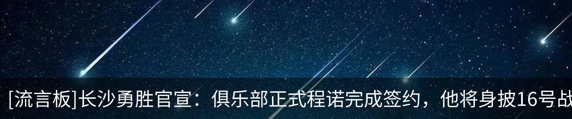 新闻动态